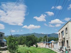 -苏家坨柳林村二月兰花海