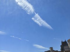 -雪熊哈尔滨烧烤·精酿啤酒·砂锅(中央胜境店)