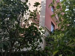 -上海市黄浦区卢湾第一中心小学