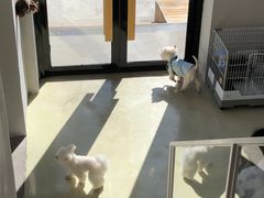 -小意思咖啡店(草桥店)