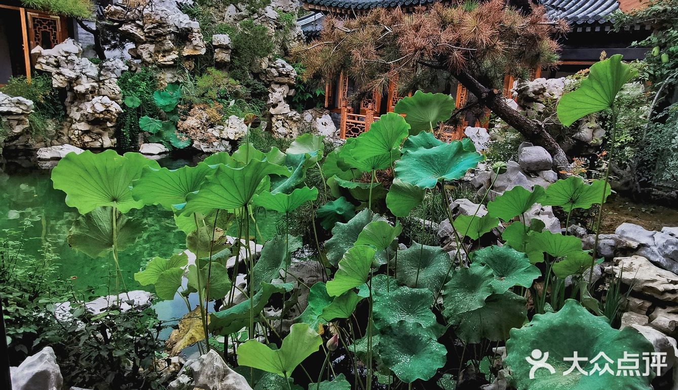 大隐于市 | 在北京二环也能看的苏式园林！