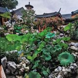 大隐于市 | 在北京二环也能看的苏式园林！