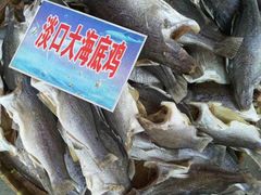 -大湾区中央湿地公园-十九涌