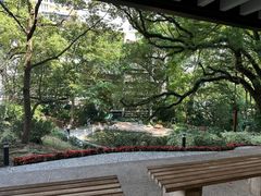 -香港大学