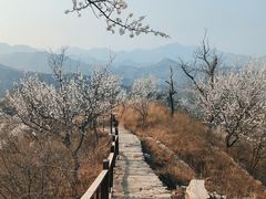 -水峪民俗村