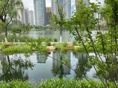 -西北湖绿化广场