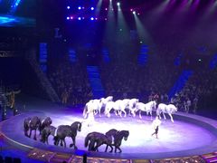 -珠海横琴长隆《卡卡虎奇遇记》