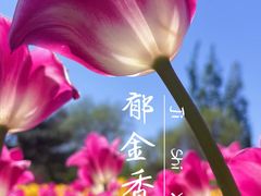 -国家植物园