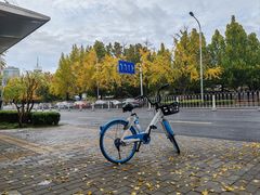 -三里屯东五街银杏大道