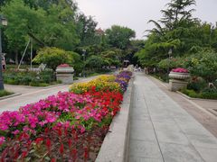 -睦南公园