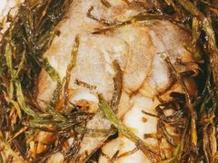 葱香碟鱼头-老吉堂上海本帮菜(望京万象汇店)