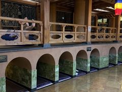 -纽斯桑拿会所(东绣路店)