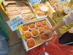 -油麻地果栏