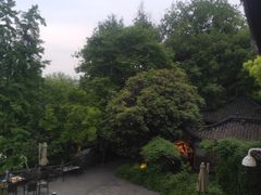 -闻莺馆(柳浪闻莺店)