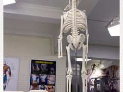 -中田健身工作室(东园店)