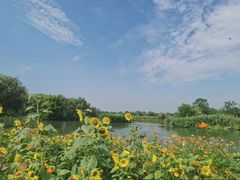 -西溪国家湿地公园