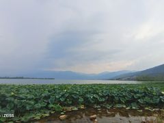-西昌邛海湿地