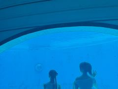 -海合安成都极地海洋公园