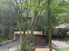 -WeLope紫金山探险公园