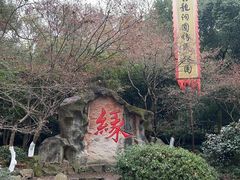 -杭州黄龙洞