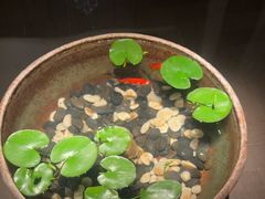 -曲水兰亭(北京四惠店)