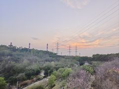 -小南山公园