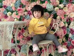 -南宫温泉水世界