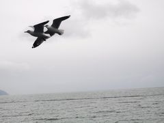 -南诏风情岛