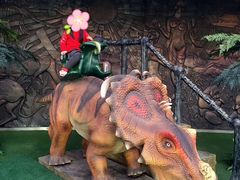 -陕西自然博物馆