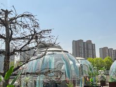 -享月汤皇·海鲜小火锅·聚会(曲江创意谷店)