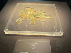 -青海藏文化博物院