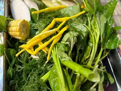 -金鼎雪山牦牛杂火锅(理县总店)