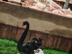 -北戴河集发农业梦想王国