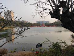 -映月湖公园