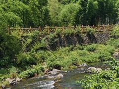 -莫干山风景区