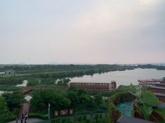 -芒洲湿地公园