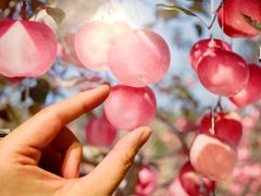 -chi K11艺术空间展览厅