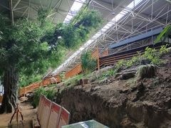 -中国第四纪冰川遗迹陈列馆