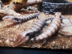 -成都浩海立方海洋公园