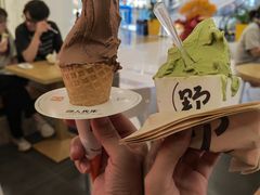 -野人先生Gelato(上海长宁龙之梦店)