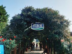 -君乐宝优致牧场