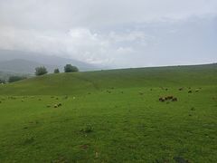 -新疆那拉提国家旅游度假区