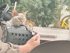 -Jamaicablue Coffeeshop(中央广场店)