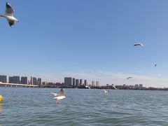 -蠡湖大桥公园