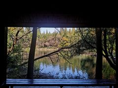 -东平国家森林公园