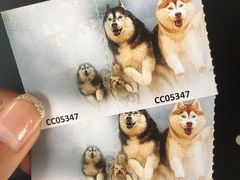 -TrueLove @ Neverland (Husky Cafe)