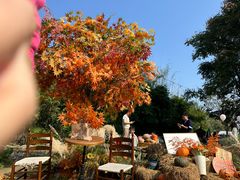 -HERRE·FARM 赫尔露营农场·团建聚会包场