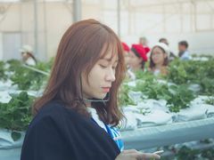 -维乐口腔医院(星海湾分院)