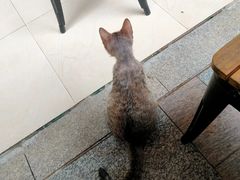 -鱼乐岛餐厅·户外花园主题餐厅