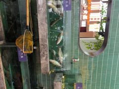 -鱼你相聚·河鲜馆(袁家岭店)
